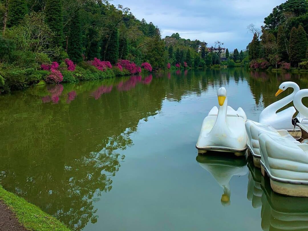 Lago Negro, foto pedalinhos no lago.