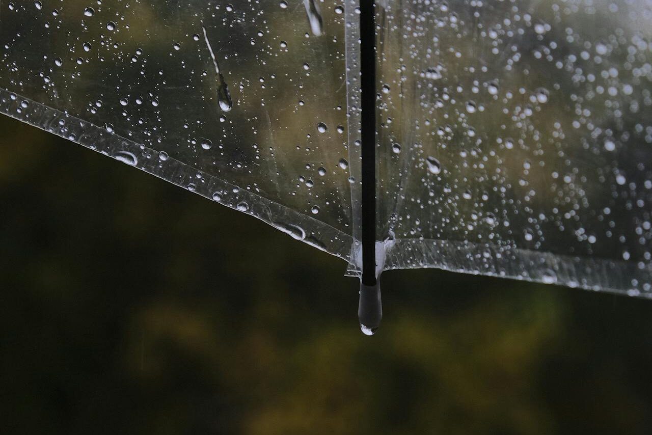 Sombrinha, molhada da chuva.