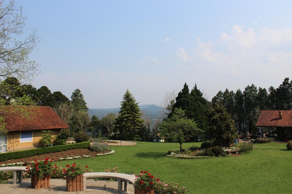 Le Jardin, dia de sol.