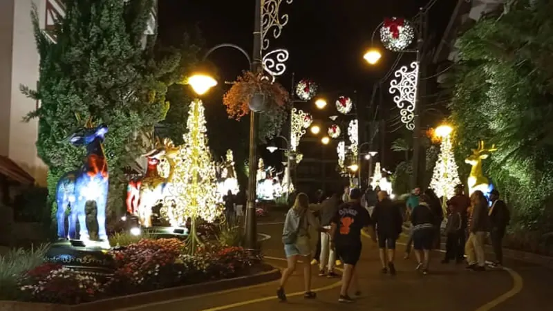 Rua Torta, foto noturna.