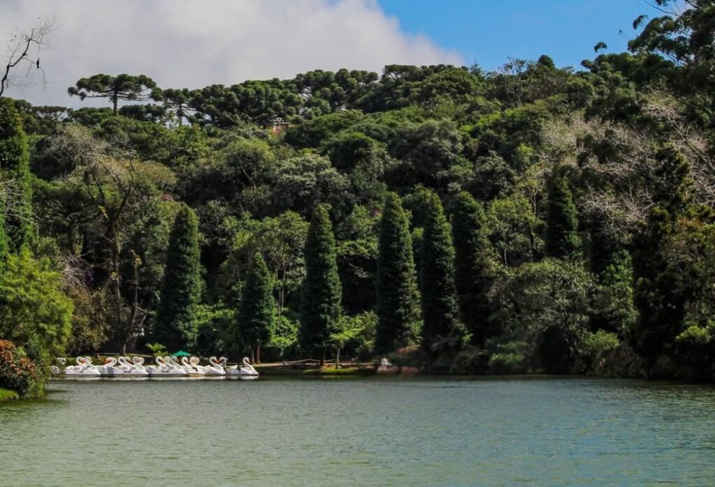 Pedalinhos no Lago Negro.