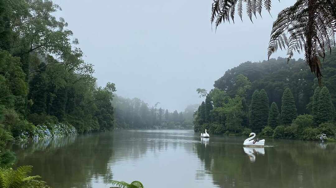 Lago Negro, Gramado em dia nublado em com Neblina.