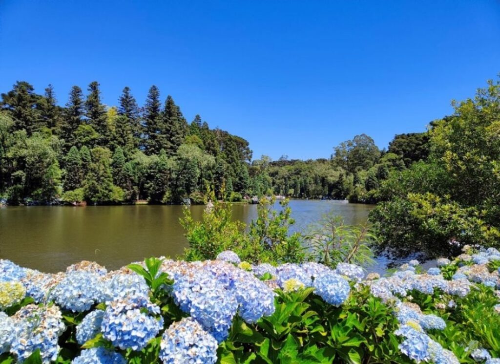 Foto do Lago Negro de Gramado